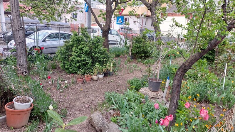 Piata 1 Mai,